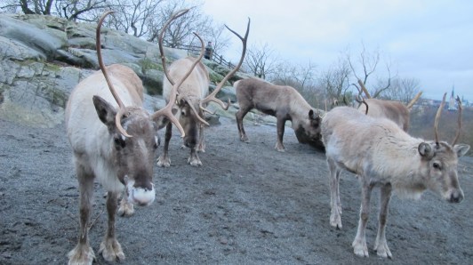 Skansen Entrance
