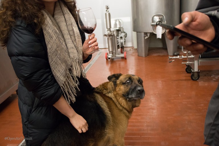 IMG_5965-watermarked